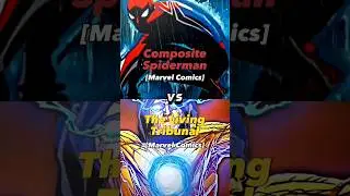 Composite Spiderman VS The Living Tribunal 