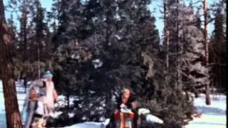 С Новым годом, виртуальный друг!