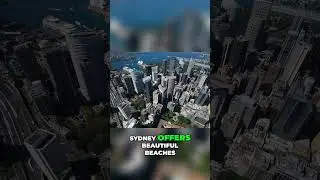 Discover Sydney  A Fusion of Nature and Urban Excitement