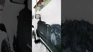 Tundra