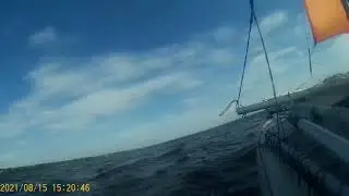15.08.2021 Дремайловская балка