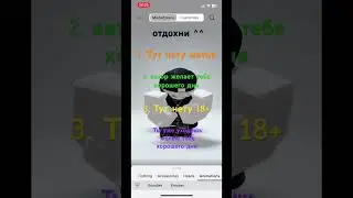 28 мая 2024 г.
