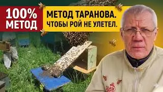 Борьба с роением пчел Несколько простых способов Роение пчёл
