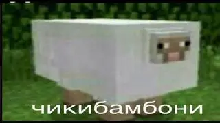 ОВЦА ЧИКИБАМБОНИ ЧИКИБАМБОНИТ ПОД ЧИКИБАМБОНСКУЮ ЧИКИБАМБОНЮ