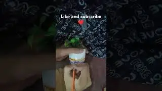 colouring old flower pot ❤️ / like and subscribe/ Dream craft ❤️/