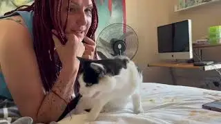 The Debate with My Cat and Mother, Outcome Unknown