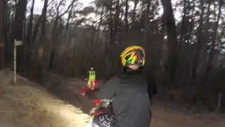 Twilight Ride East Warburton