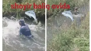 SHOYIR BALIQ OVIDA