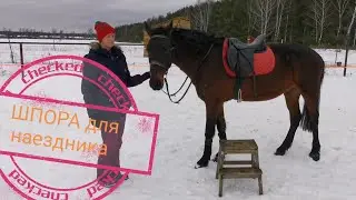 Первый раз на лошади
