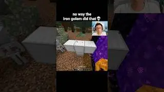 Minecraft Iron Golem Moment
