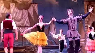 С Скворцов, А Криса и Дон Кихот