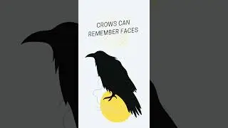 Crows fun facts #trending #viral #youtubeshorts