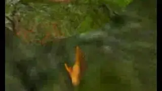 black and white villager tumble
