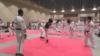 Call of the dragon