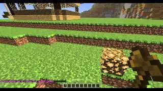 Тоториал-Как заприватить и удалить регион в Minecraft