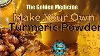 How to Make Turmeric Powder From Homegrown Plants | Curcuma longa | The Golden Medicine