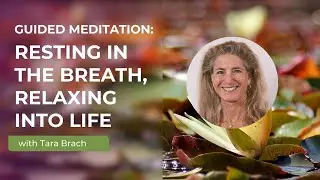 Guided Meditation: Resting in the Breath, Relaxing into Life - Tara Brach