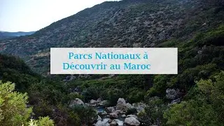 Parcs Nationaux à Découvrir au Maroc | اجمل المنتزهات الوطنية بالمغرب