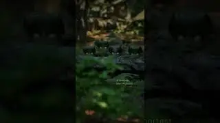 Its a Kappa Squad 1080p