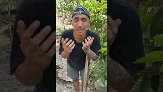 Adik jahat banget