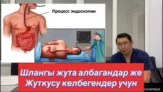 Гастрит, эрозия жана ашказан жарасын аныктоодо зонд же шлангы жута албагандарга жанылык!