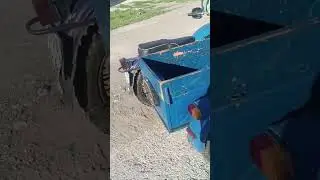 16 июля 2024 г.