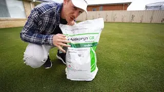 The Best Insecticide For Home Lawns
