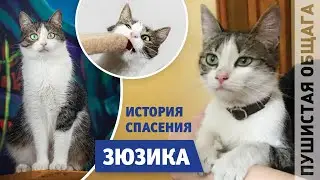 ИСТОРИЯ СПАСЕНИЯ ЗЮЗИ