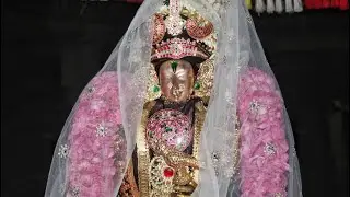 Thiruvali Thinagari Sri Vayalali Manavalan ,Sri Thirumangai Azhwar Kalvankol Saathumurai