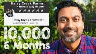 10,000 Subscribers! How I Gained 0 to 10K Subs in 6 Months!