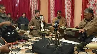 saaz