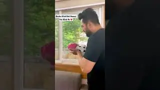 Falak Shabbir Apni Beti Ko AZAN De Rhain Hain ❤️ MashaAllah ❤️ Allah Pak Ne Beti De Hai ❤️#beti