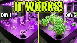 iDOO  Hydroponics Growing System. TESTED (with Mrs Fred)