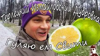 Терлецкий Измайловский Дубровка, пешком по Москве (ноябрь 2020)