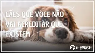 Cães mais RAROS e INCOMUNS