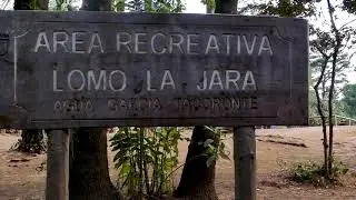 Hike & Wine Tasting In North Tenerife