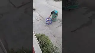 Papa pagli
