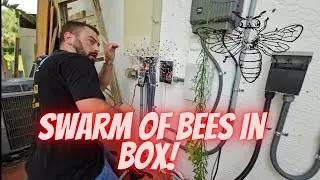 Bees attack when we trouble a pump!