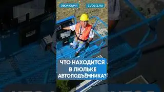 Как спастись из люльки подъёмника ? #сиз #помощь #безопасность #защита #сварка #ремонт #авто