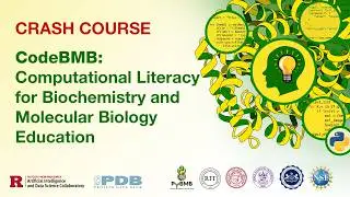 CodeBMB: Computational Literacy for Biochemistry and Molecular Biology Education