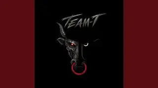 Team-T