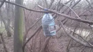 Живоловушка для белки в Покровско-Стрешнево