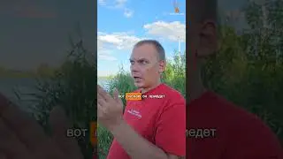 Действия при покупке машины