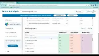 Walkthrough of the Content Analysis Tool by CopyPress
