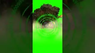 BAZOKA GREEN SCREEN