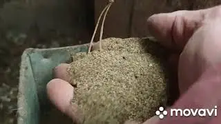 биогумус своими руками