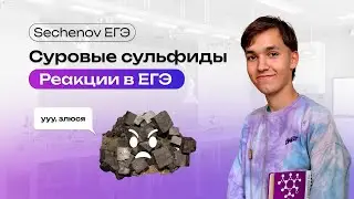 СУРОВЫЕ сульфиды | Реакции в ЕГЭ 2024 | Арсений Sechenov ЕГЭ