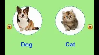 Hello Felix | CVL Unit 11 Farm animals - Learning english for kids