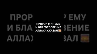 ПРОРОК МУХАММАД МИР ЕМУ И БЛАГОСЛОВЕНИЕ АЛЛАХА СКАЗАЛ|