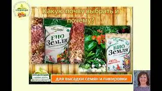 Томатное изобилие. ЧАСТЬ 4 - Томатно-рассадный период